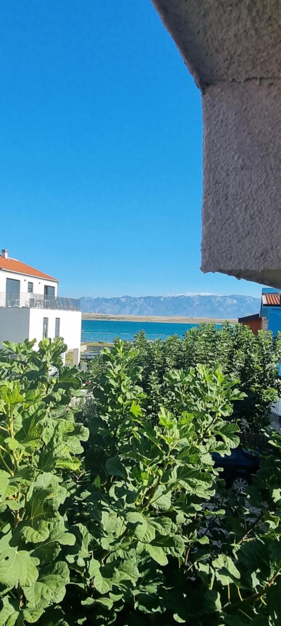 Villa Marija Vir Exterior foto
